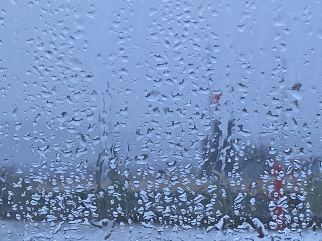 Dismal by TL Parry-Sands