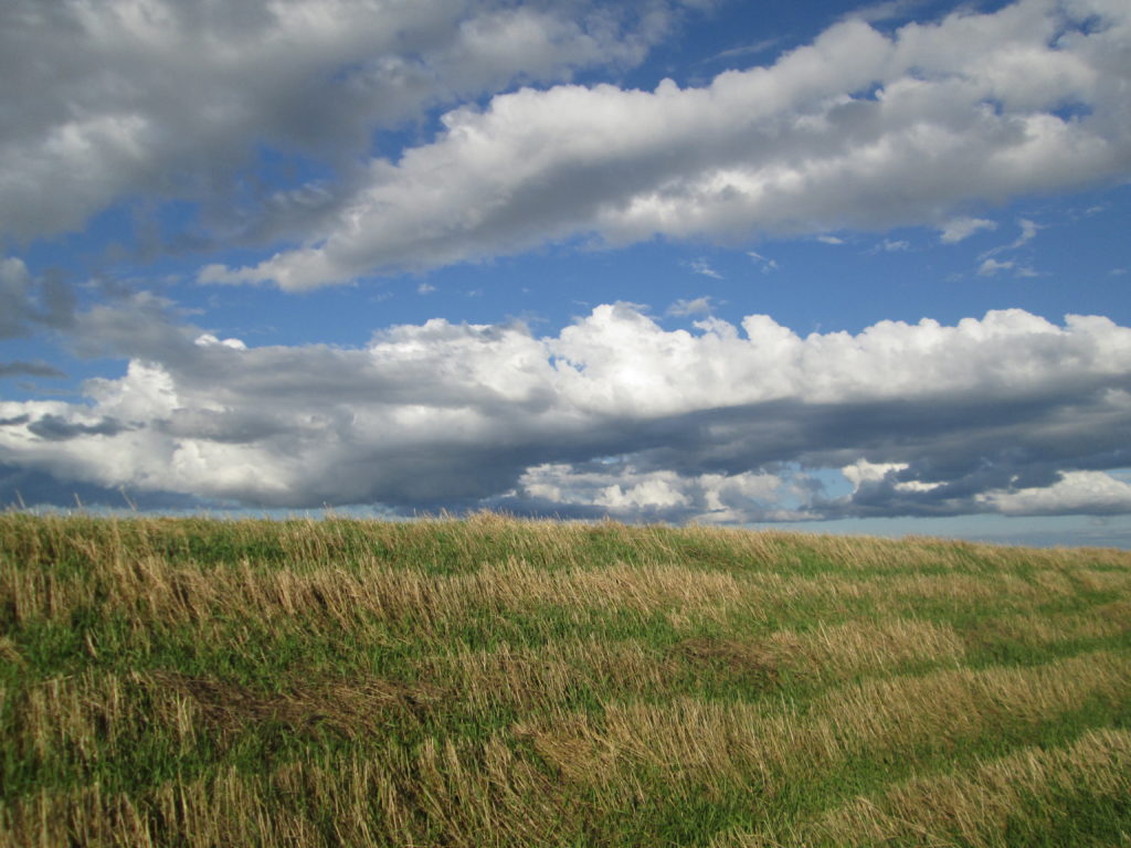 Larry from Charlottetown, PEI, Canada, CC BY 2.0 , via Wikimedia Commons