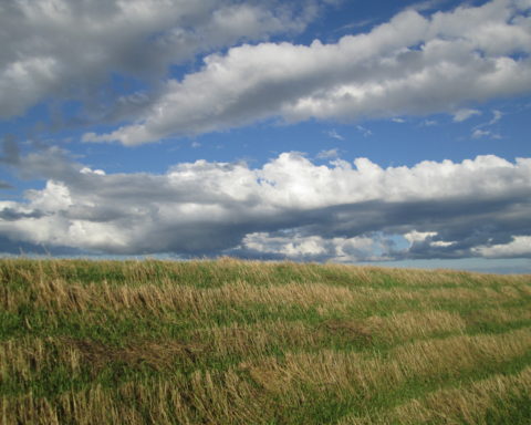 Larry from Charlottetown, PEI, Canada, CC BY 2.0 , via Wikimedia Commons